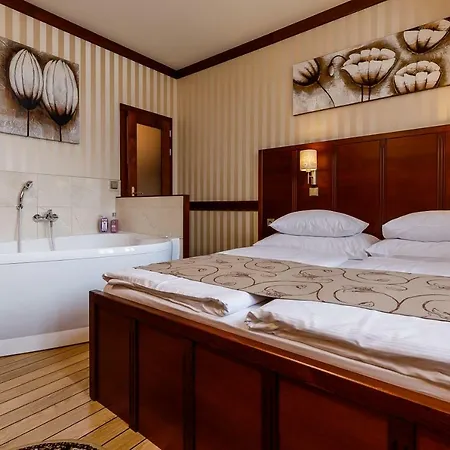 Hotel Alfred Karlsbad
